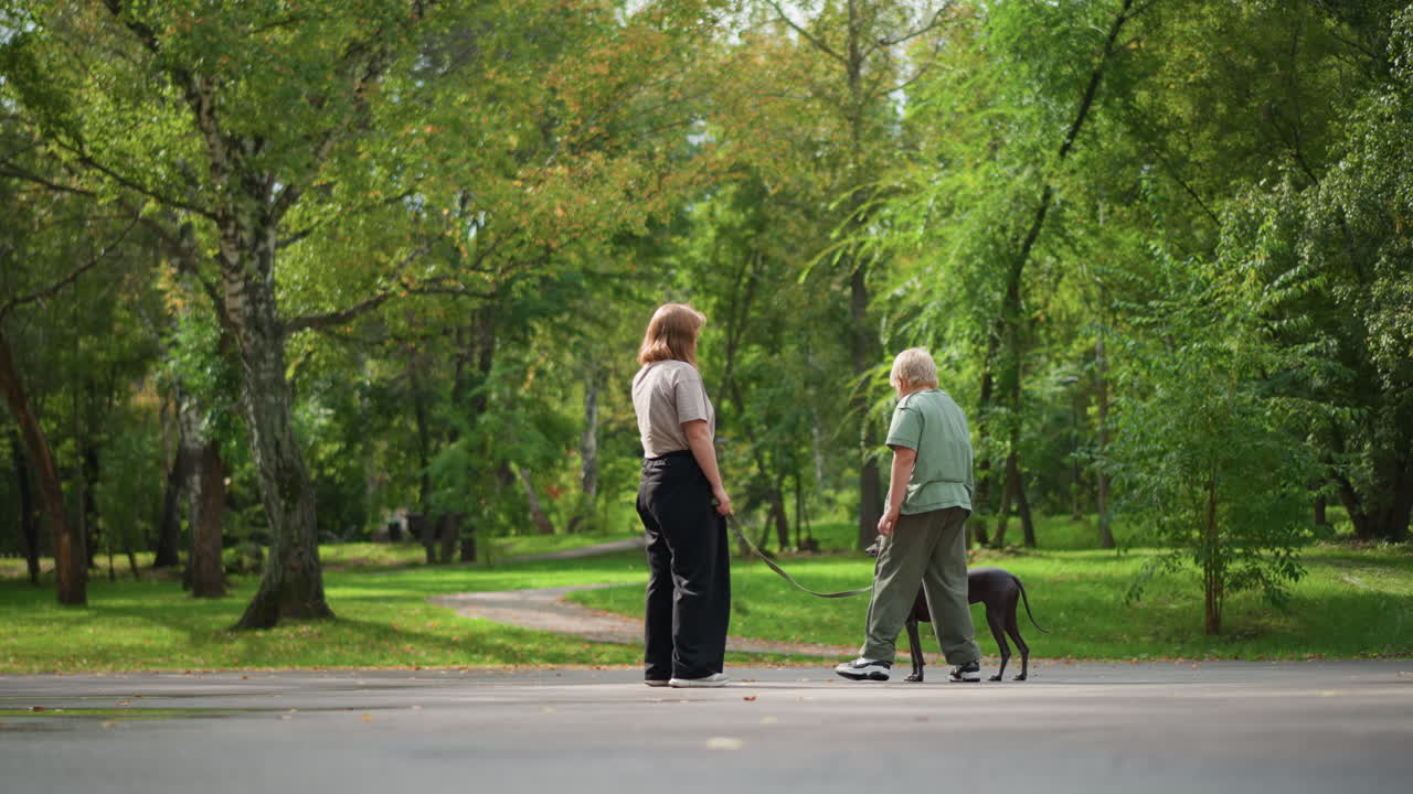 Trainer Encourages Dog, Trainer Interacts With Canine Outdoors, Trainer Assists Dog During Obedience In Park, Person Guiding Dog Through Obedience Test Amidst Park Setting With Bystanders