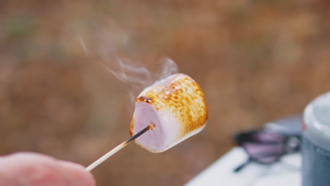 close up of person toasting marshmallow outdoors on camping trip