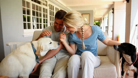 Pareja-Feliz-Acariciando-A-Sus-Perros-Sentados-En-La-Terraza