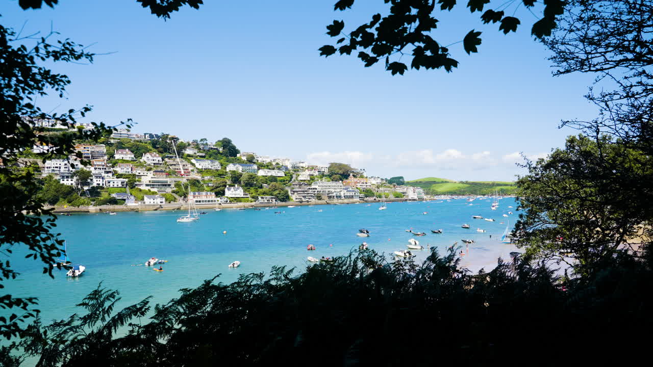 Coastal Town with Boats and Houses
