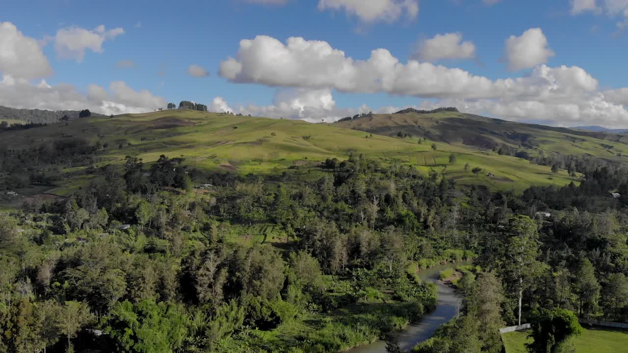 Bellissime colline verdi e fiume con alberi, ripresa aerea cinematografica del paesaggio della Papua Nuova Guinea