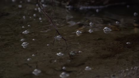 Close-Up-of-Bubbles-Floating-on-a-Stream-of-Water-at-Cullen-Gardens-Central-Park-in-Whitby,-Canada