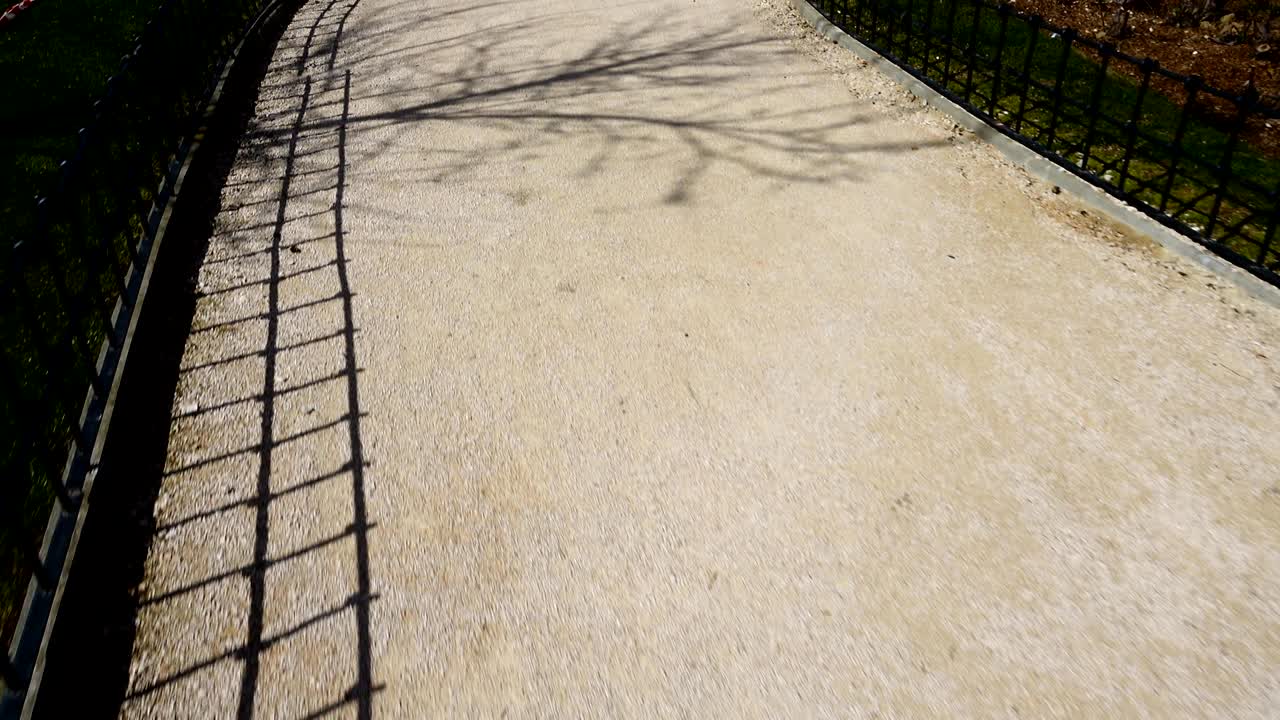 la avenida en el parque, primavera. madrid, españa.