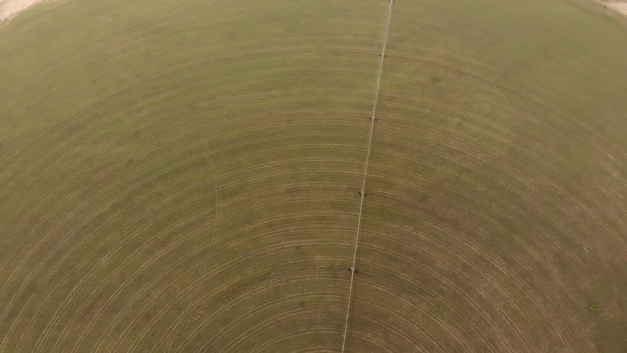 AERIAL. Circular green irrigation patches for agriculture in the desert. Dubai, UAE.