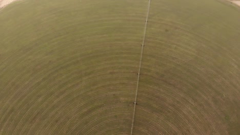 aerial. circular green irrigation patches for agriculture in the desert. dubai, uae.