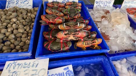 various seafood displayed on ice for sale