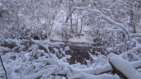 small river in winter