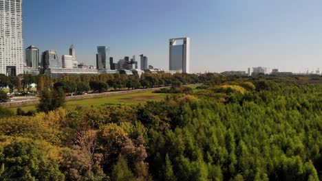 fotografía aérea durante el día en la reserva ecológica: vista aérea del gran humedal rodeado de árboles frondosos y de la ciudad
