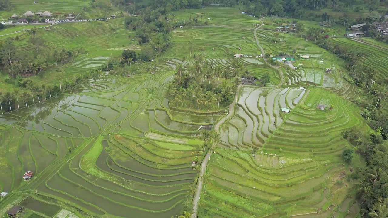 vista aérea de los campos de arroz del patrimonio mundial de la unesco en jatiluwih, bali, indonesia en un día nublado
