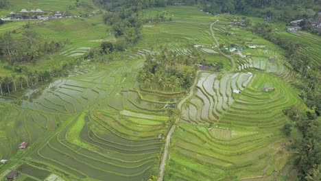 aerial view of the unesco world heritage rice fields at jatiluwih, bali, indonesia on a cloudy day