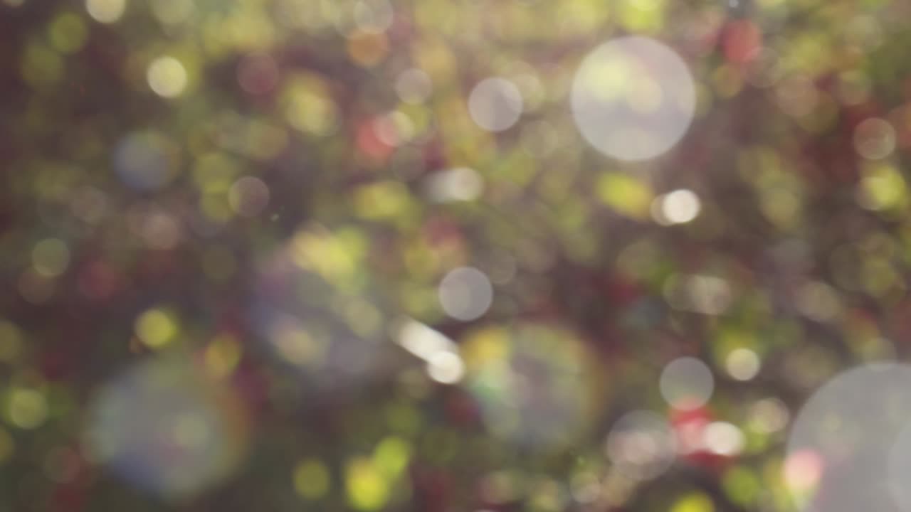 보케와 함께 추상적인 스프링 배경