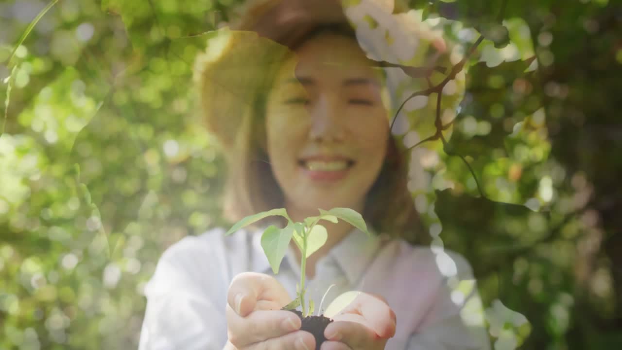 カメラが苗に焦点を当て、庭師が苗木を育て、花が庭に舞い散る様子を表現しています。