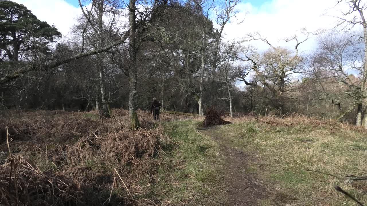 드럼 캐슬 숲의 여인은 경로 정류장과 지점을 따라 걷습니다.