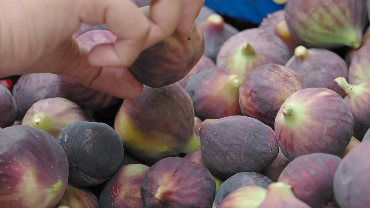 Pile of Figs