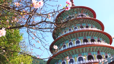 tian yuan temple with pink sakura flower at taipei