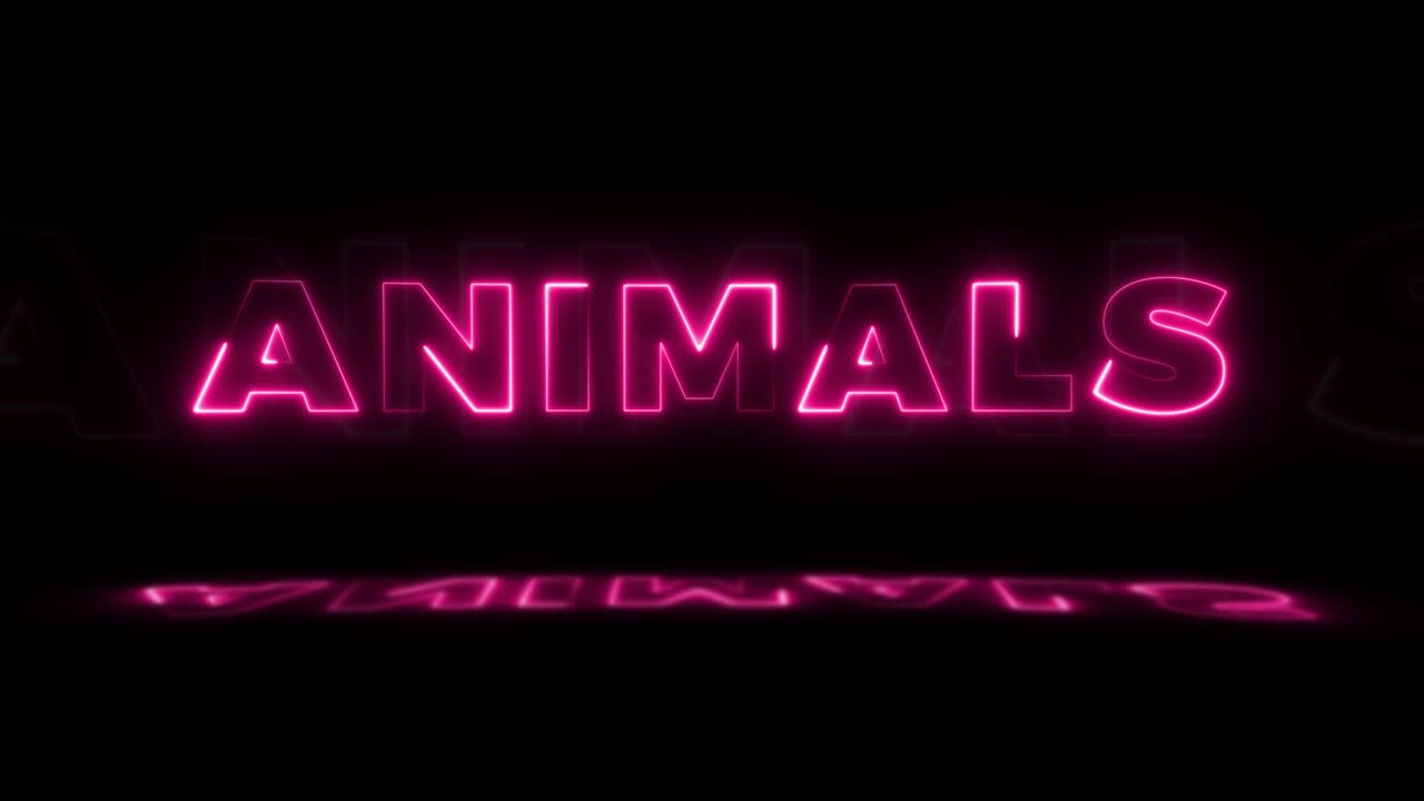 Word 'ANIMALS' neon glowing on a black background with reflections on a floor. Neon glow signs in seamless loop motion graphic