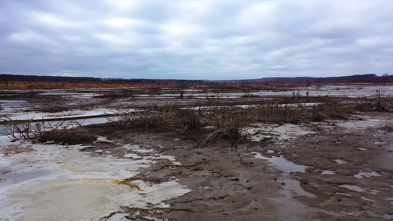 Gloomy background of nature. Contamination of lake in drought place. Ecological problems. Dried plants in polluted background.