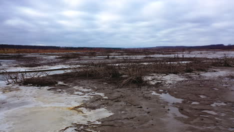 gloomy background of nature. contamination of lake in drought place. ecological problems. dried plants in polluted background.