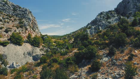 low altitude drone flight through desert valley alongside rocky hills above bush and small trees