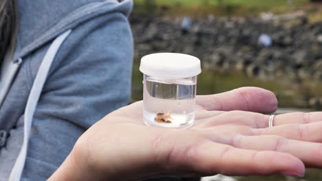 a citizen scientist conducting field research observes a marine animal in a specimen jar