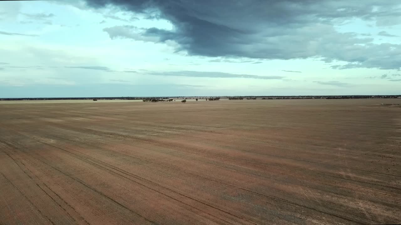 Omvendt droneflyvning over tørre marker nær Berriwillock, Victoria, Australien, maj 2021