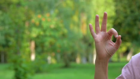 a woman's hand shows a close-up sign ok, everything will be fine against the background of green nature