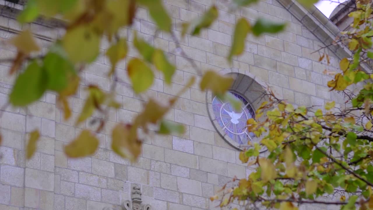 собор в каштелу бранку, движение камеры показывает башню собора в каштелу бранку