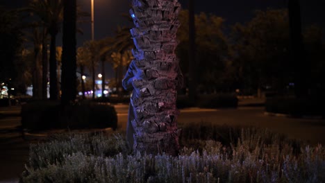 Hilarious-detective-hiding-behind-palm-tree-and-using-binoculars-to-investigate-area