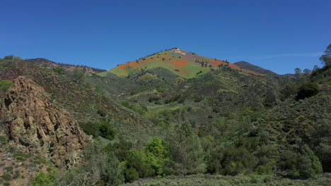 poppy superbloom on california mountain peak, aerial drone dolly in