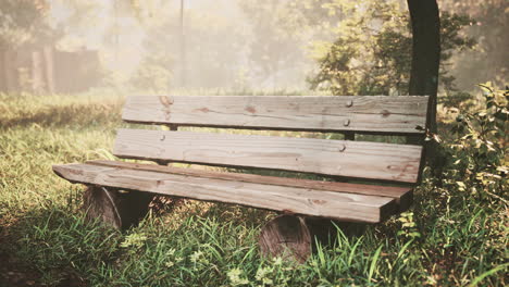 beautiful-bench-in-the-park-at-spring-sunny-day