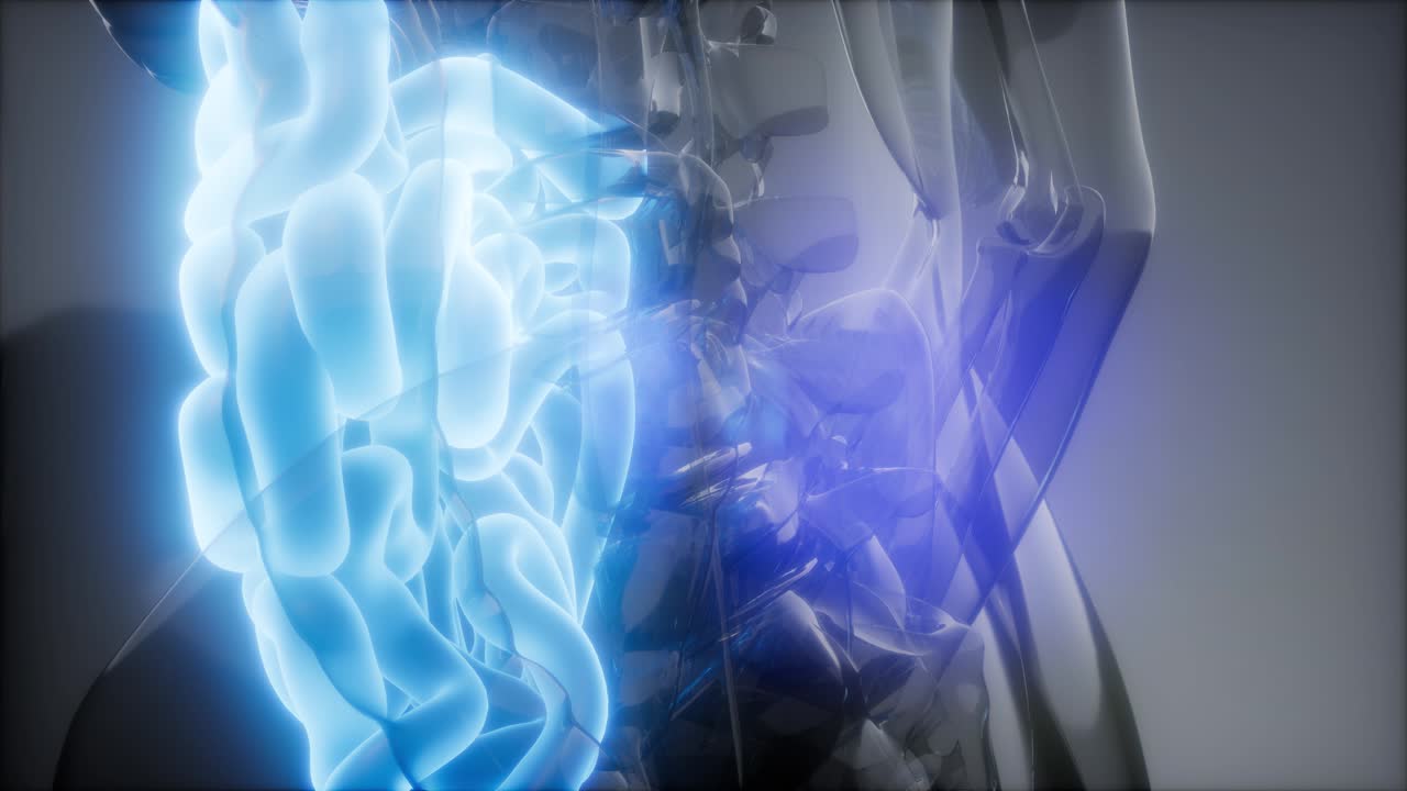 examen de radiología del intestino delgado humano