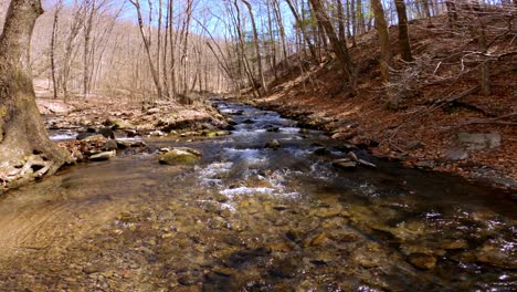 Ein-Wunderschöner,-Sanfter-Gebirgsbach-Im-Zeitigen-Frühjahr,-Nach-Der-Schneeschmelze,-In-Den-Appalachen