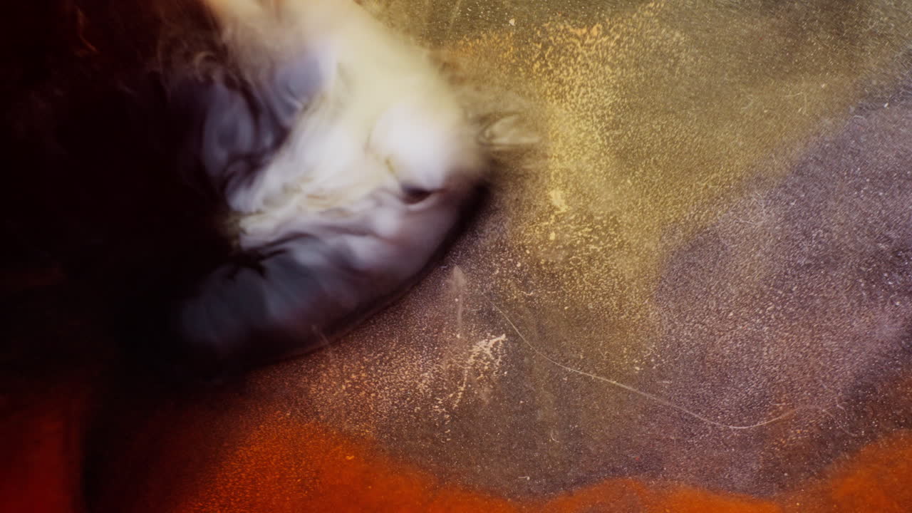 macro view of dynamic rang of inks mixed in liquid medium