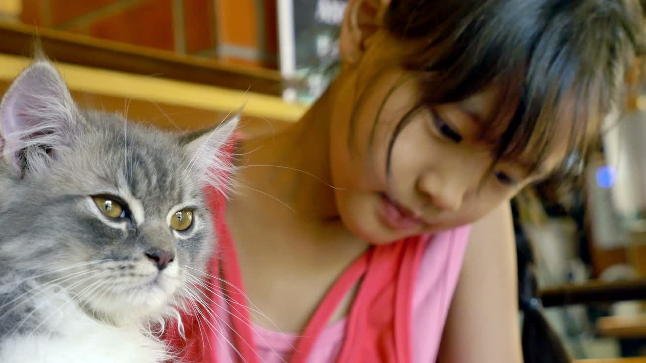 Bambina asiatica che gioca con il suo gattino in un caffè per gatti