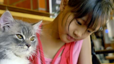 asian child playing her kitten in cat cafe