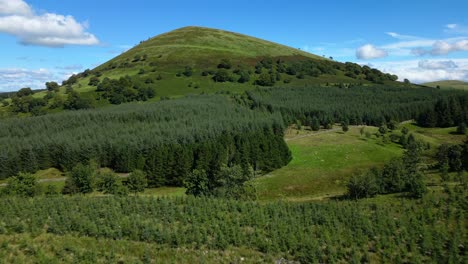 solitary large hill surrounded by thick pine forest flyover on summer day