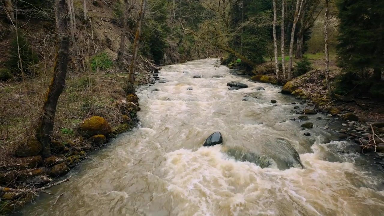 Vista dinamica dall'alto di un fiume impetuoso, che mostra le sue forti correnti e le acque bianche mentre attraversa una fitta foresta. La robusta struttura del ponte in metallo con rivetti aggiunge un tocco industriale.