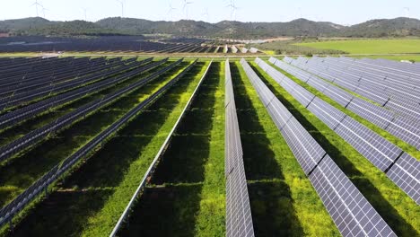 solar farm with wind turbines