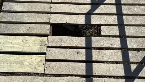 footsteps on a wooden bridge in nature