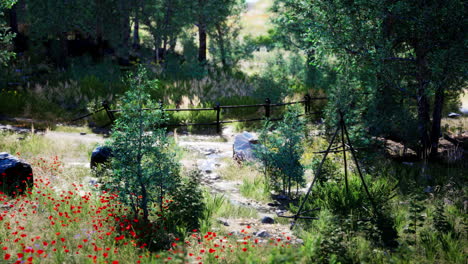 tranquil forest creek with flowers