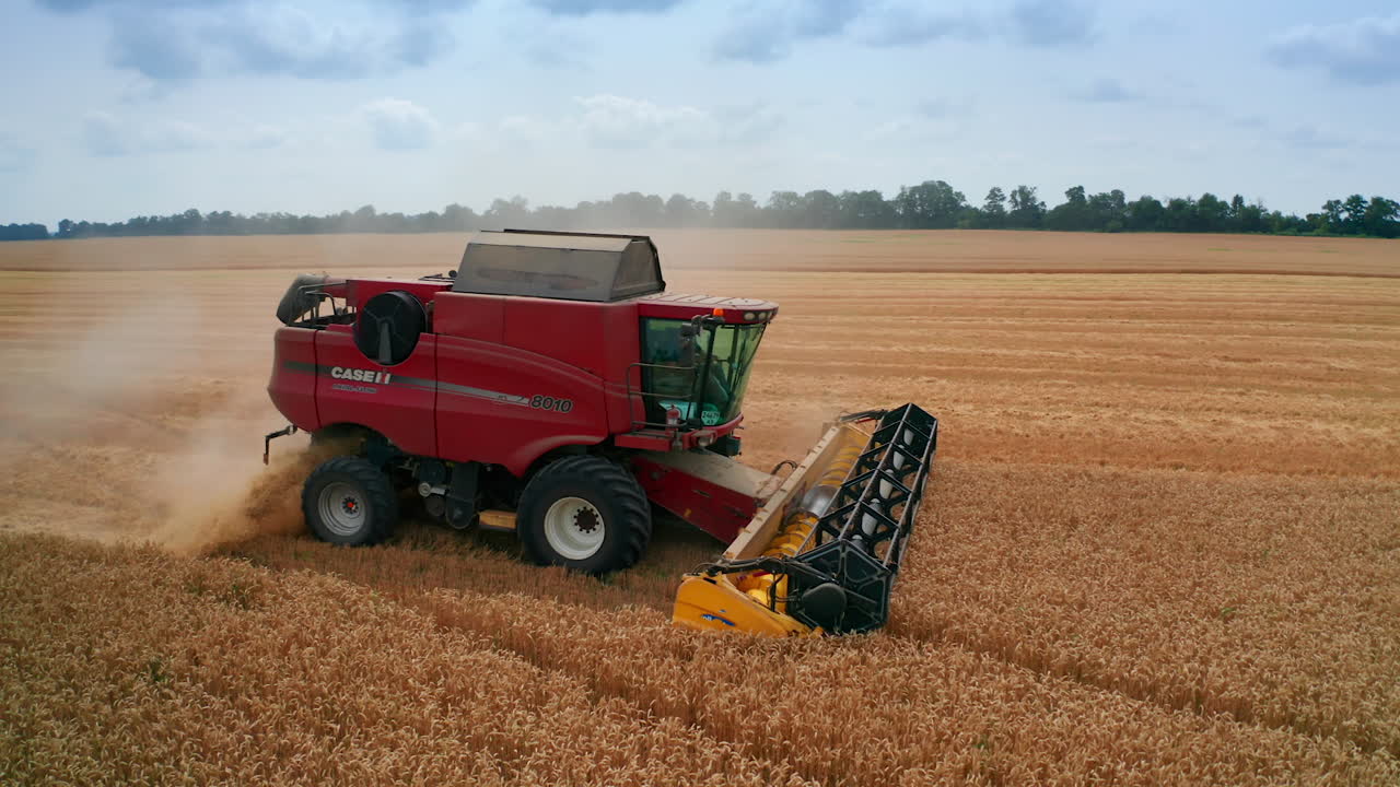 cosechadora combinada trabajando en un campo de trigo