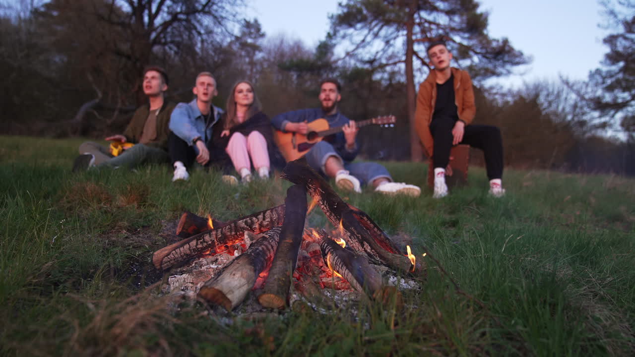 Wooden logs burning cheerfully in the campfire. Happy company of friends spending evening together in the forest.