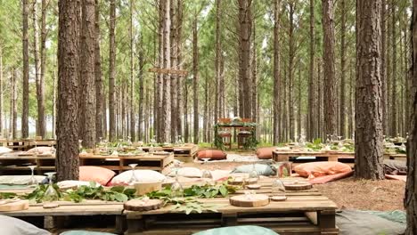 boda bohemia montada en un bosque de pinos