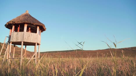 caucasian woman standing in wooden lookout tower above green grass meadow with hills in background on sunny day, low angle handheld pan