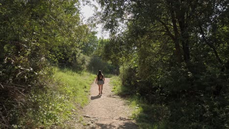 Female-and-her-dog-walk-out-into-the-bright-sunshine-from-dark-forest