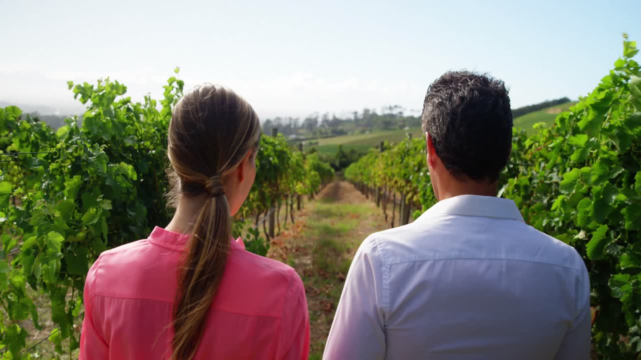 Rear view of couple holding hands and walking