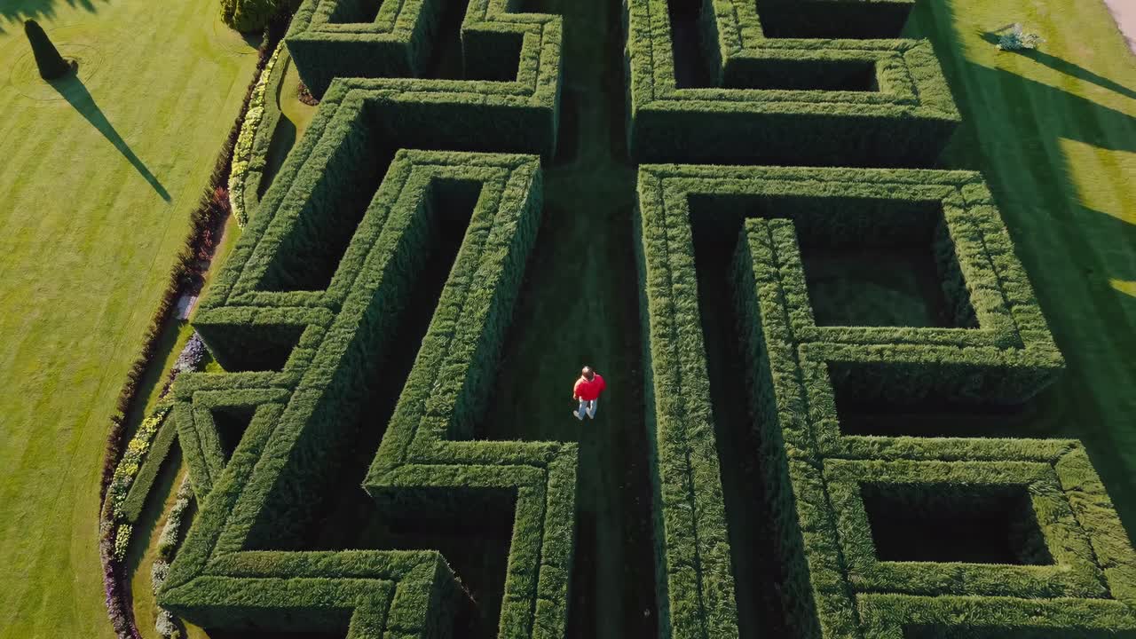 Aerial view of a person navigating a hedge maze, showcasing a symmetrical garden layout