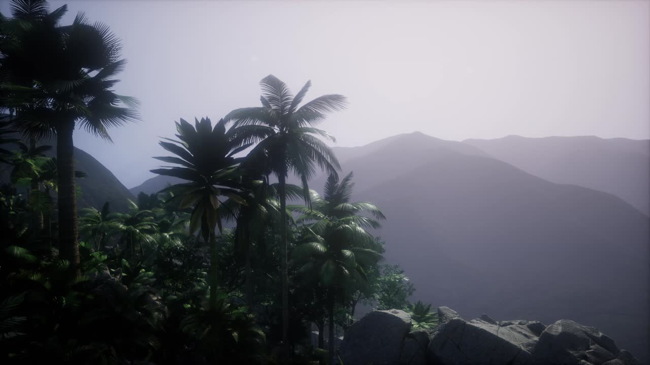 Sunset Beams through Palm Trees