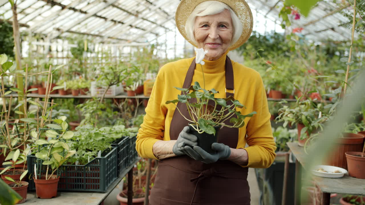 Senior Woman Gardener in Greenhouse