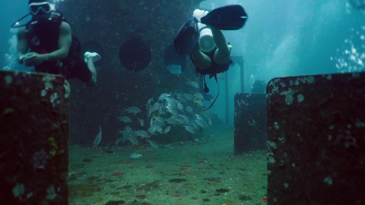 Scuba Divers and Fish Explore an Underwater Artificial Reef